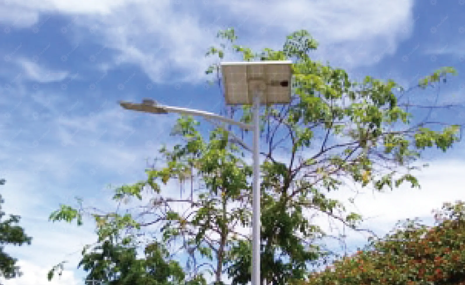 Solar Street Lights For Villages_3