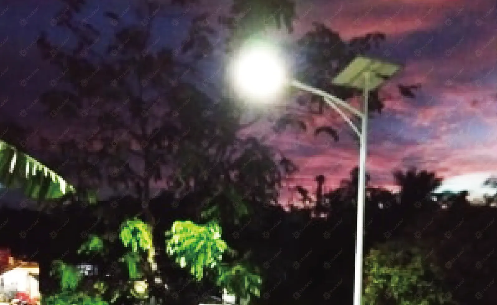 Solar Street Lights For Villages_6