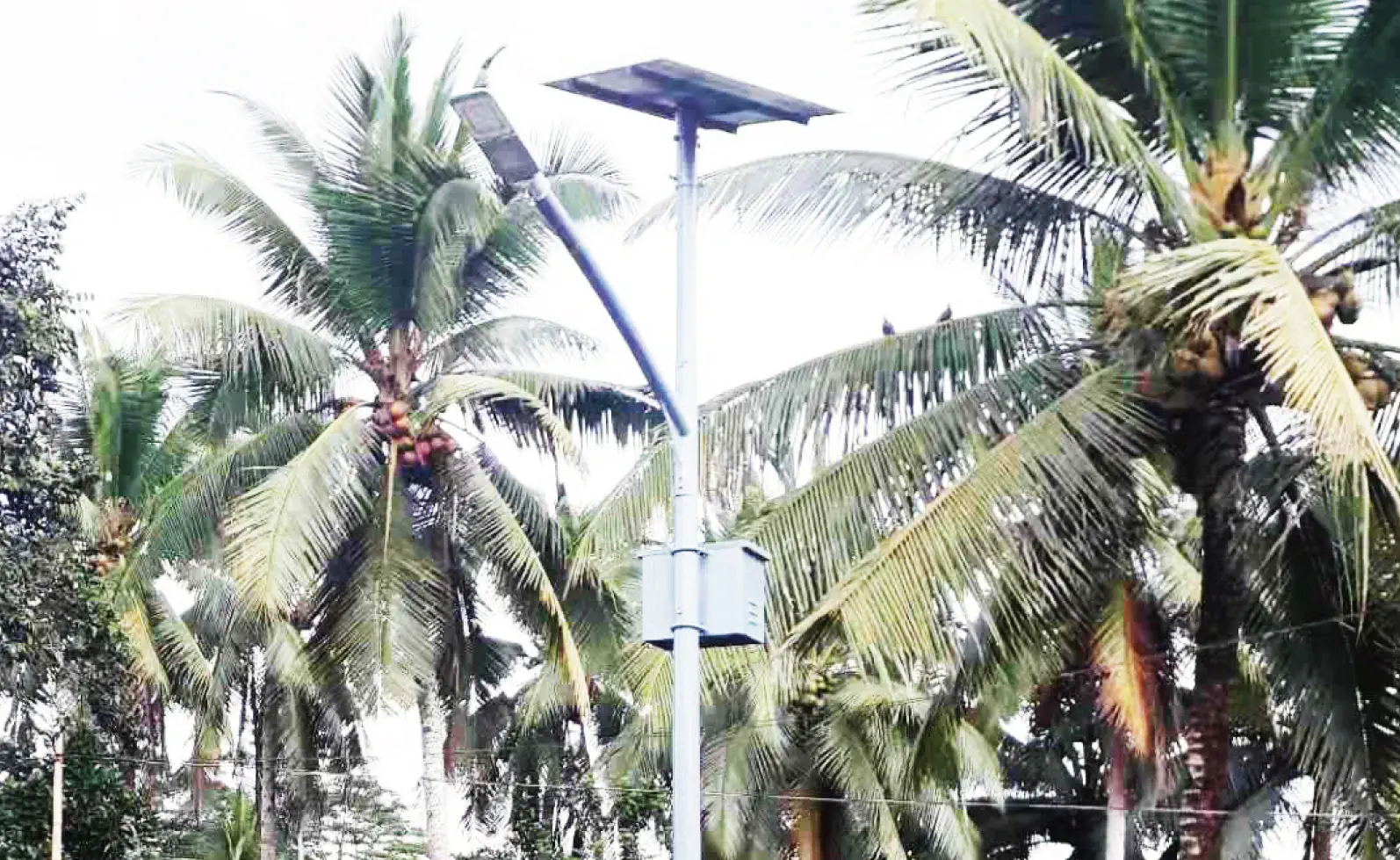 Solar Street Lights for small town_2